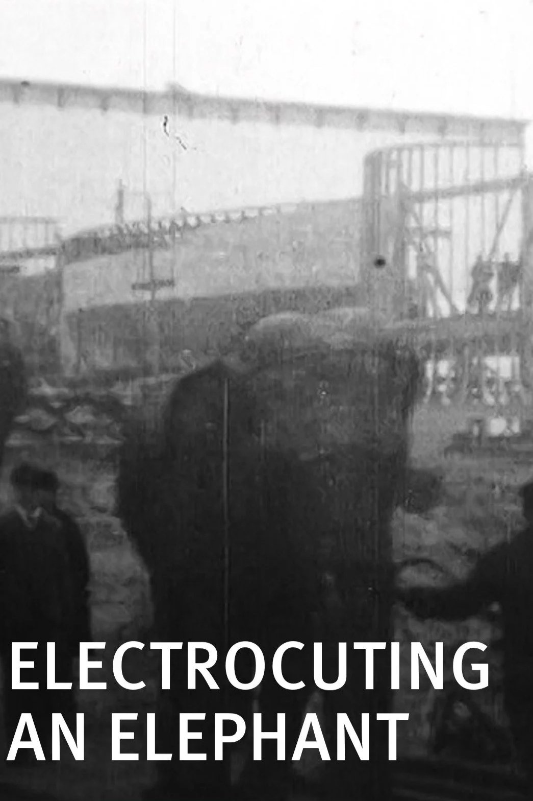 Electrocuting an Elephant poster