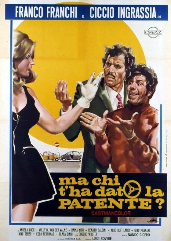 Who Gave You the License? poster